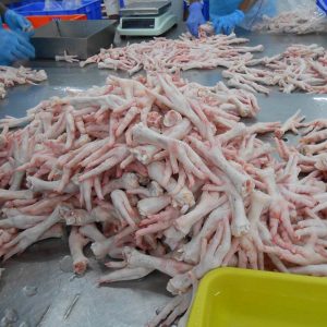 Frozen Chicken Feet Supplier