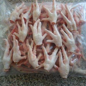 frozen chicken paws suppliers